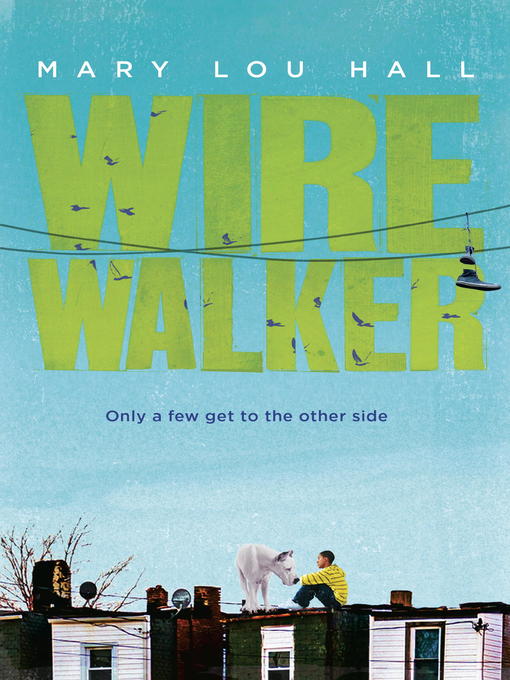 Title details for Wirewalker by Mary Hall - Available